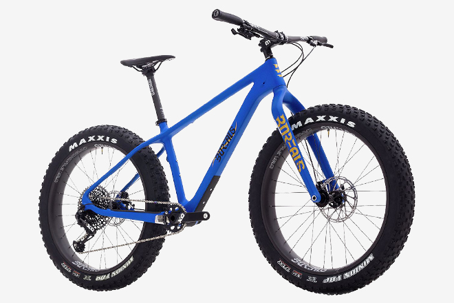 top fat bikes 2020