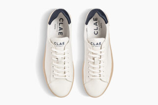 clae cactus