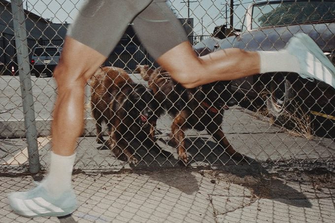 Adidas Adizero Adios Satisfy 9
